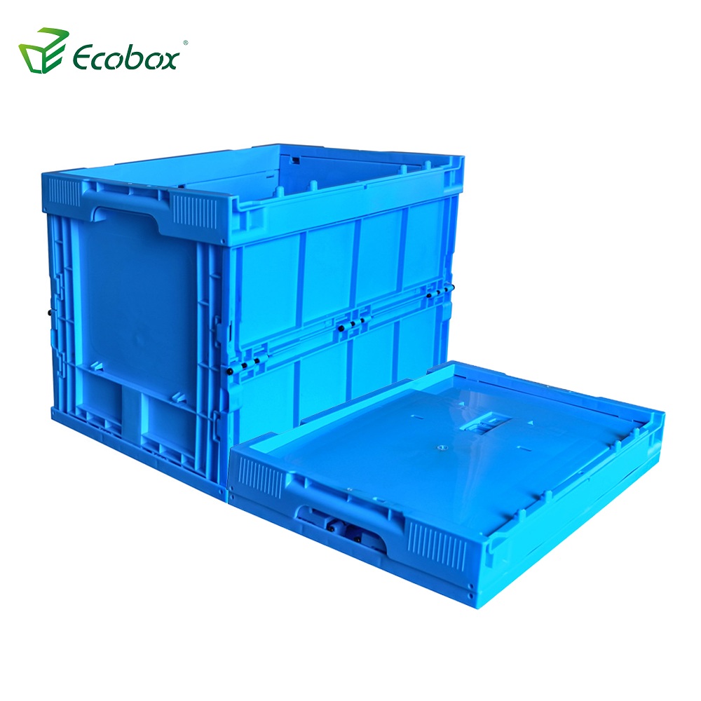 Ecobox 40 x 30 x 31 cm PP-Material zusammenklappbarer Faltbehälter aus Kunststoff