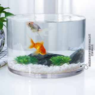 Aquarium der Serie Ecobox VR100-250 