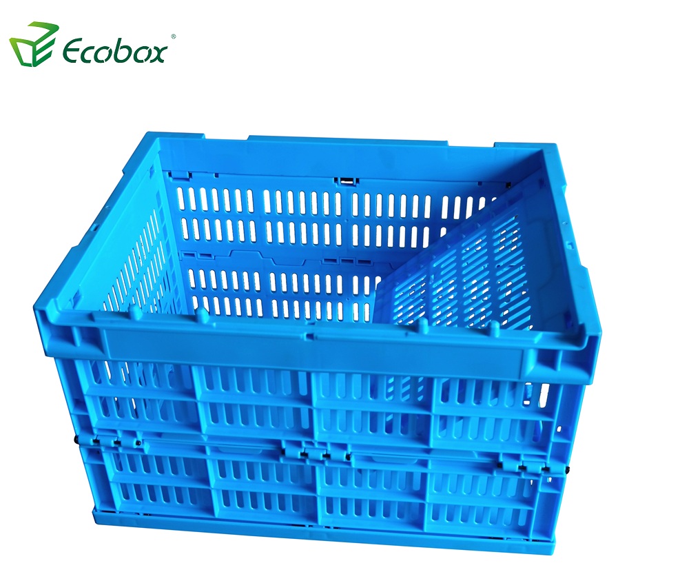 Ecobox Wiederverwendbarer Kunststoff-Faltschachtel für den Transport